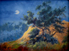 Moonglow - Torrey Pines
